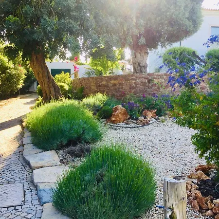 La Senhora Oliveiras 公寓 *