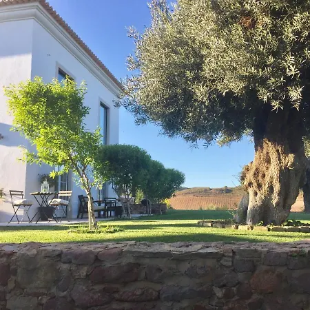 La Senhora Oliveiras 塔维拉