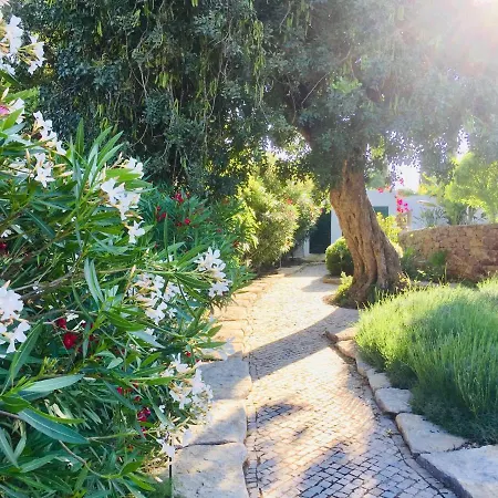 Lägenhet La Senhora Oliveiras Tavira