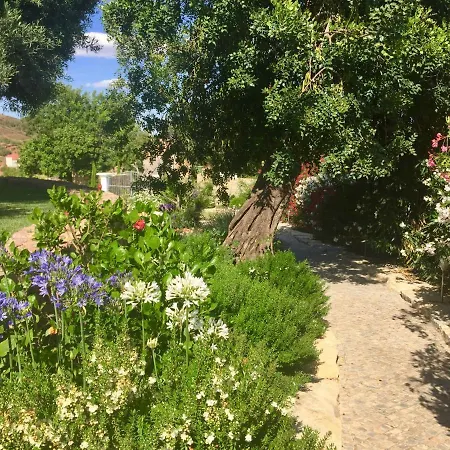 La Senhora Oliveiras *